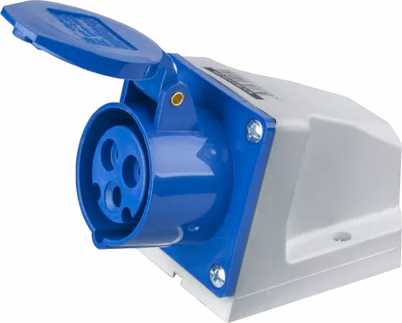 216 RS4  Розетка для монтажа на пов-ть 2Р+E 16A 110V~ IP44 (D19 609 01) 2CMA193097R1000